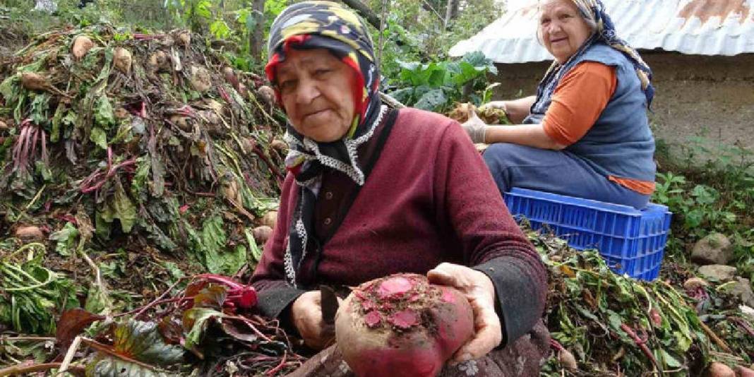 Yüksek kesimlerden gelen lezzetler kışa hazırlanıyor! İmece usulü yapılıyor, kışın çok fazla ihtiyaç duyuluyor 1